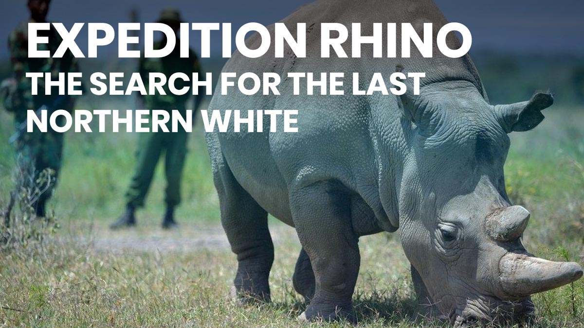 Expedition Rhino